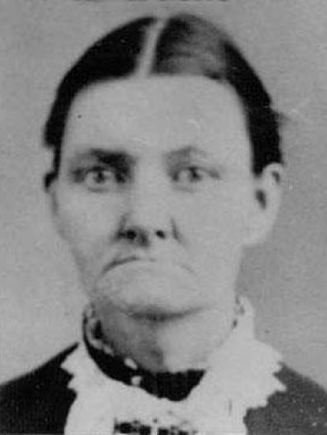Minerva Janett Crosby (1846 - 1909) Profile